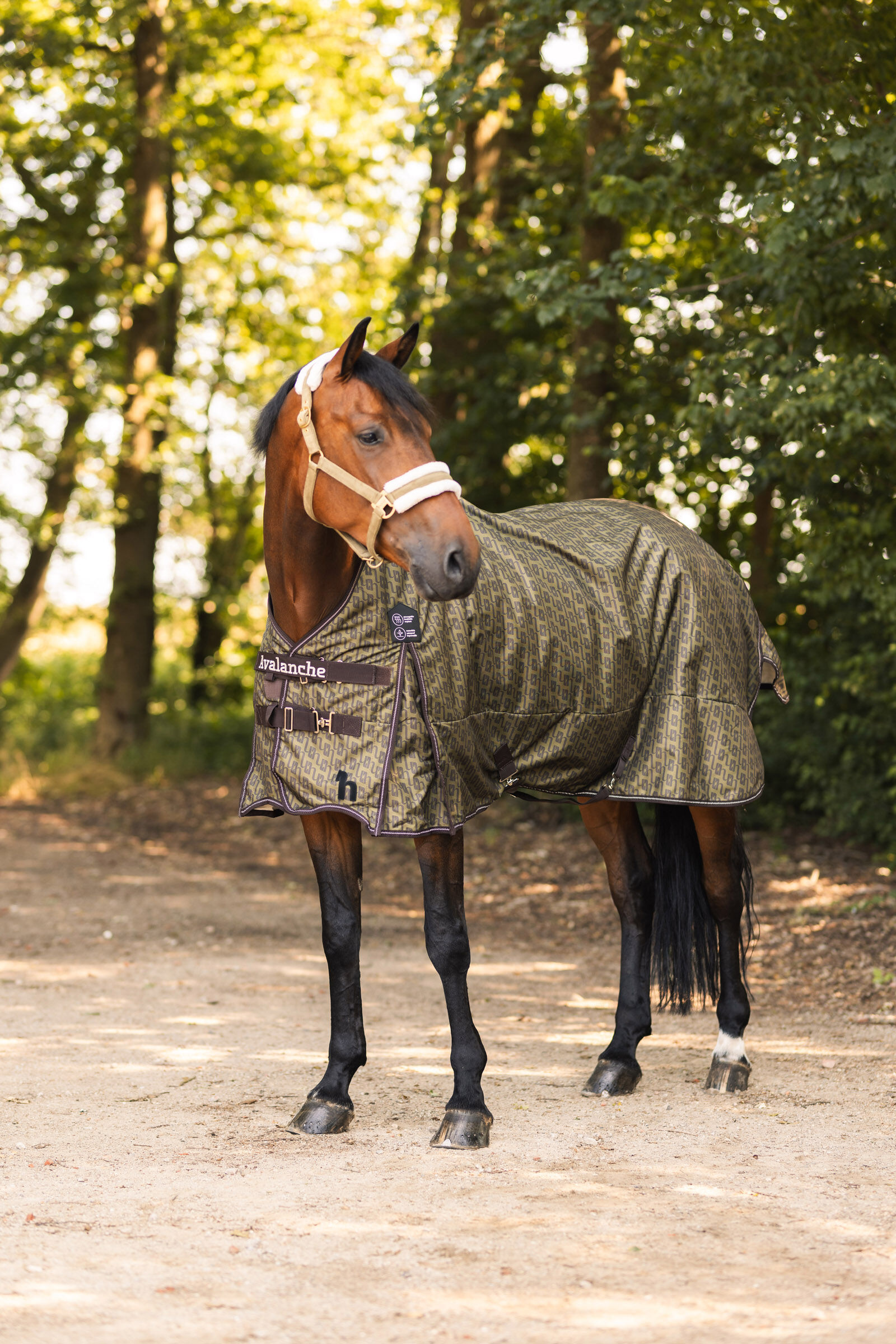 Kob Fleece Lined Waterproof Horse Blanket horze