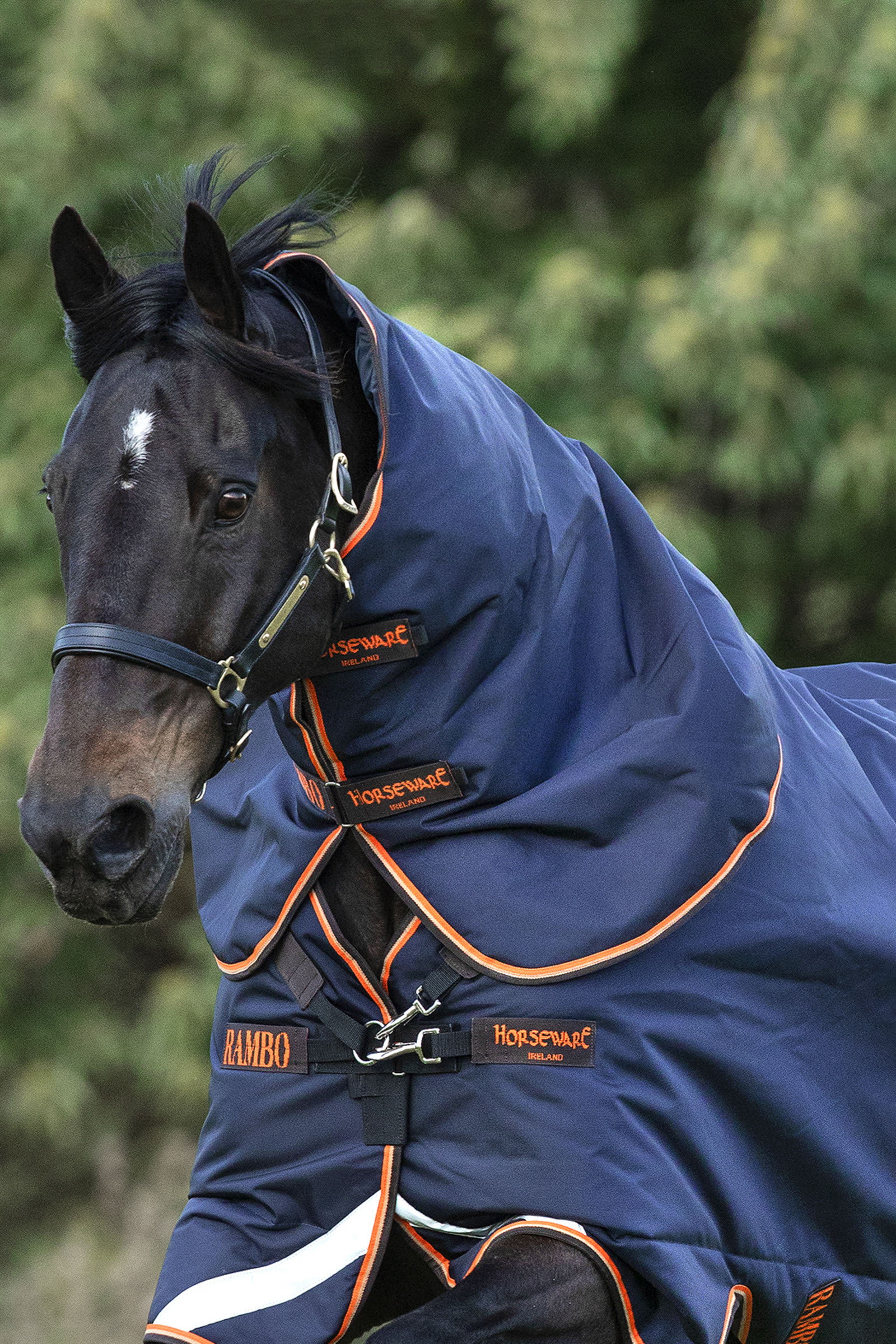 antik emulering Børnecenter Køb Horseware Rambo Supreme Hals, 50 gr | horze.dk