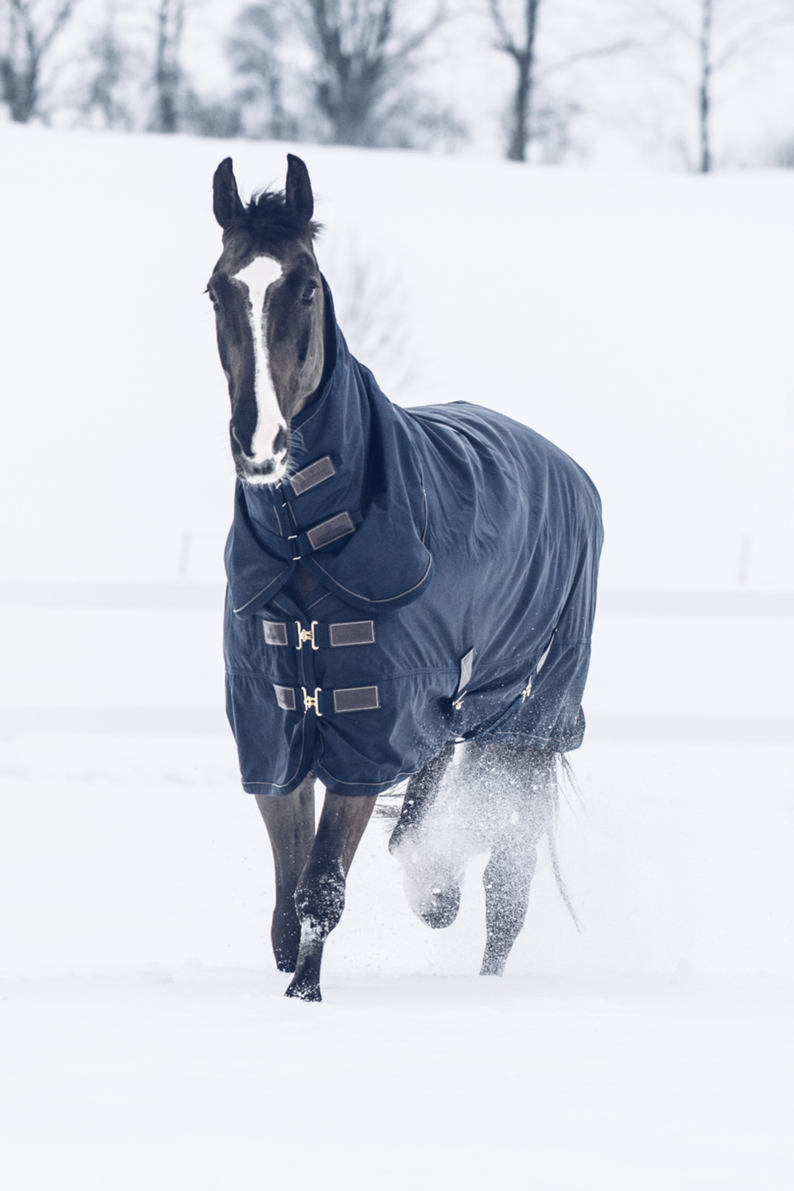 Horsewear Tiny All Vinterdækken, 300 gr | horze.dk