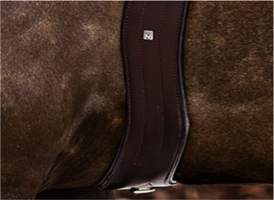 Kieffer Girth Protector - KIEFFERUSA.com